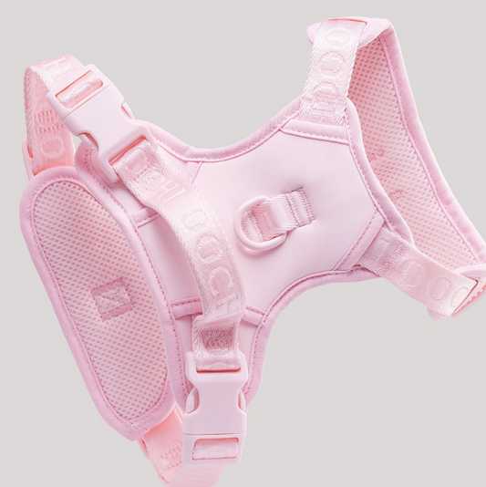 BLUSH HARNESS