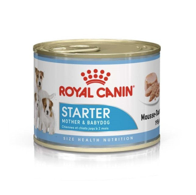 Royal Canin Canine Starter Mousse