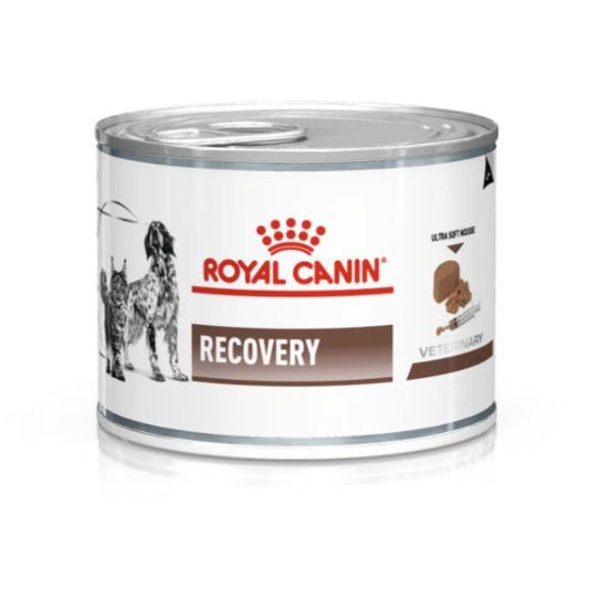 Royal Canin Canine Recovery Wet Can