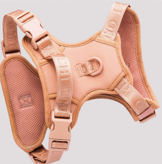 GINGER HARNESS