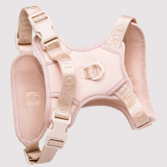 BUTTERMILK HARNESS