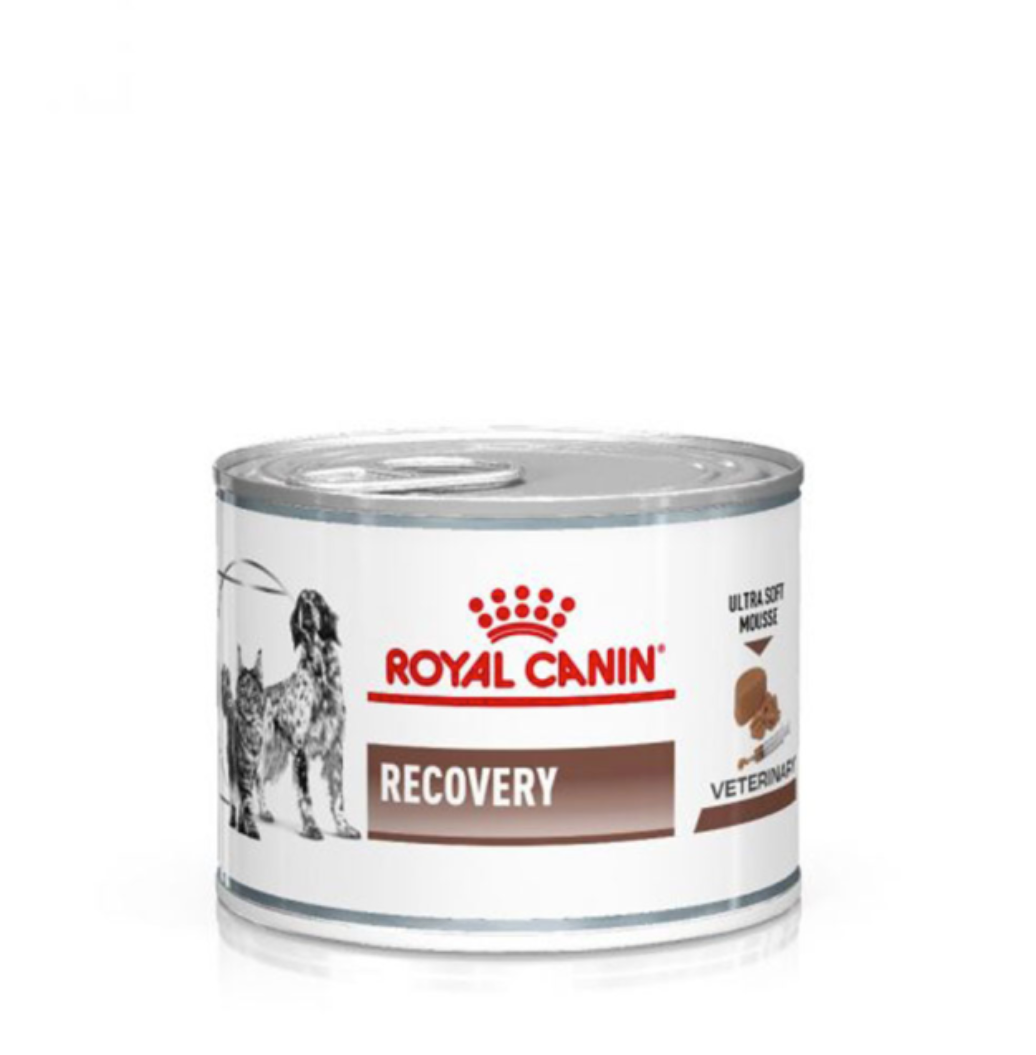 Royal Canin Feline Recovery Wet Can