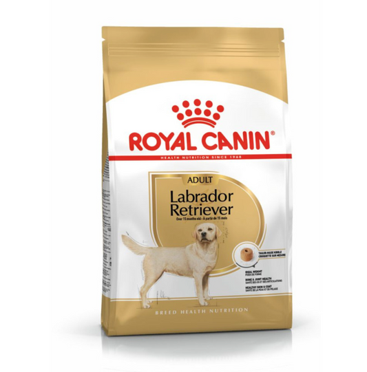 Royal Canin Canine Labrador Retriever