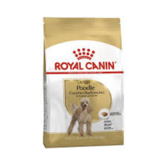 Royal Canin Canine Poodle