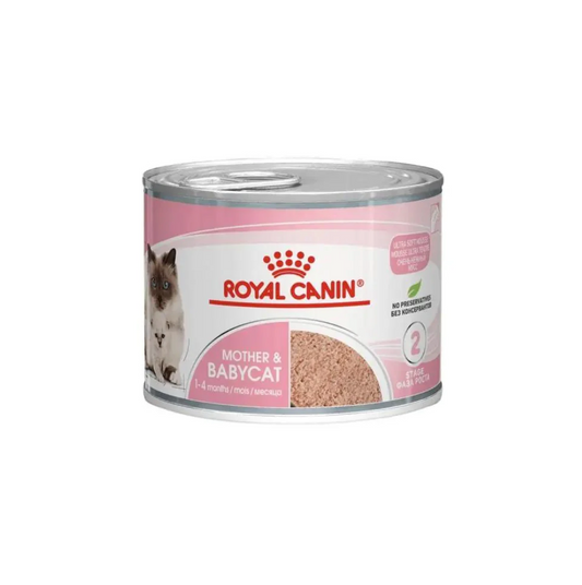 Royal Canin Feline Mother & Baby Cat Wet Mousse