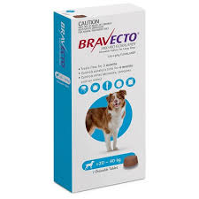 Bravecto Chew